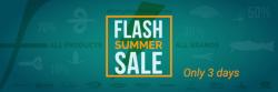 flash summer sale 800
