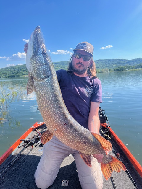 Sempre Alla Ricerca Del Big Pike