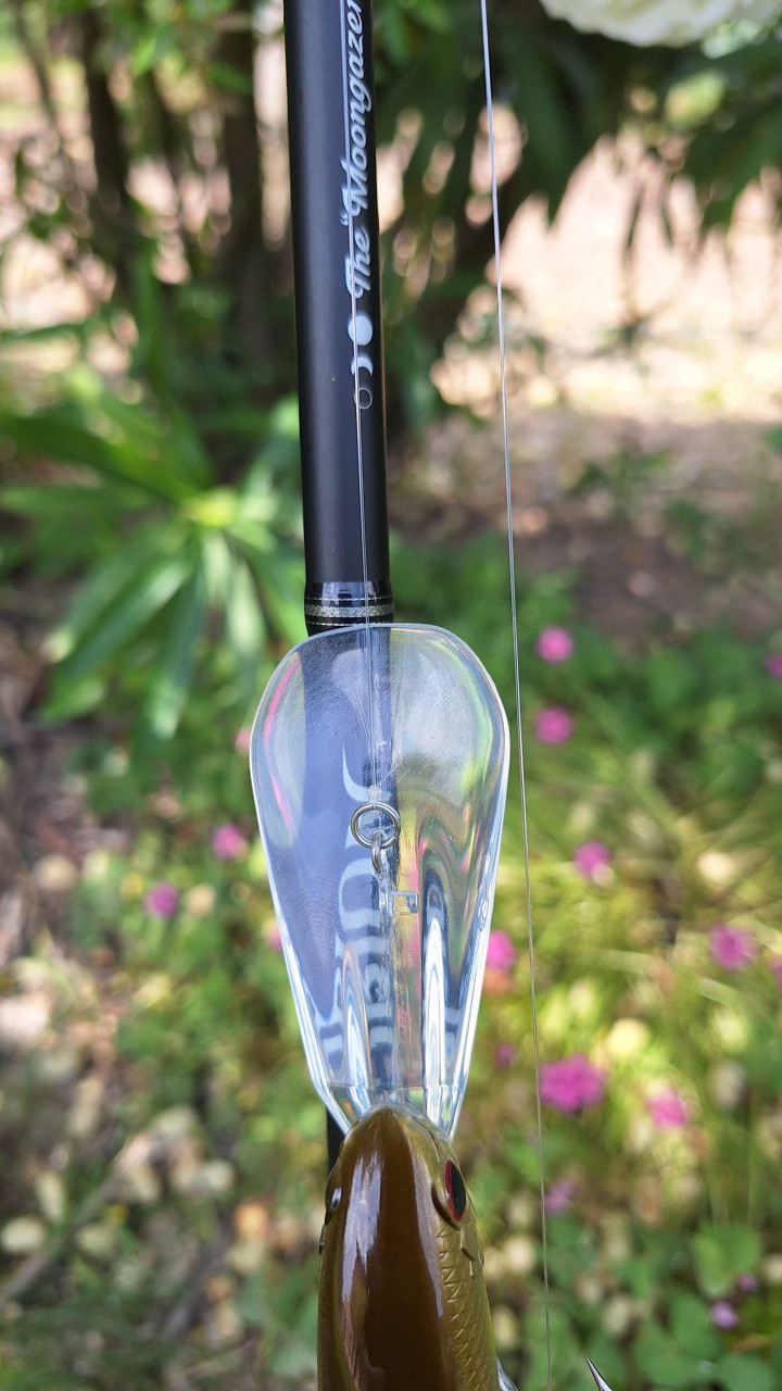 Crankbait, pesca al black bass, pesca a spinning