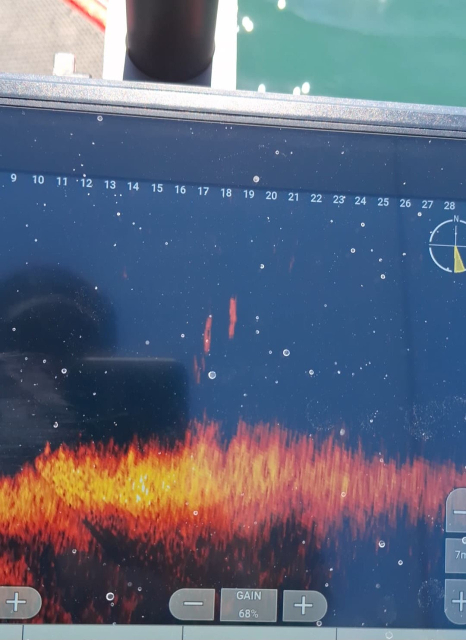 Pesca al black bass con sonar rivolto in avanti