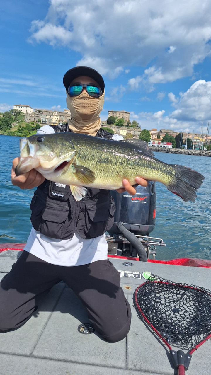 Post-Spawn Bolsena
