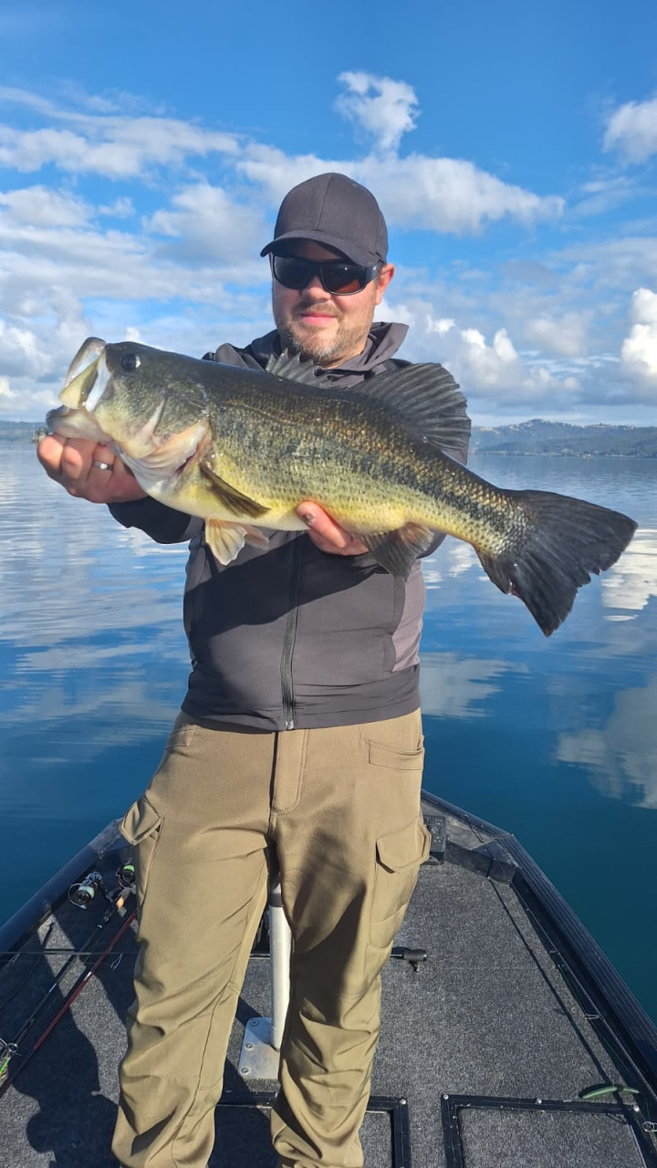 Attrezzatura Ever Green