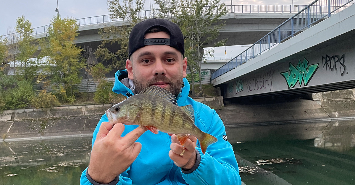 perch-street-fishing