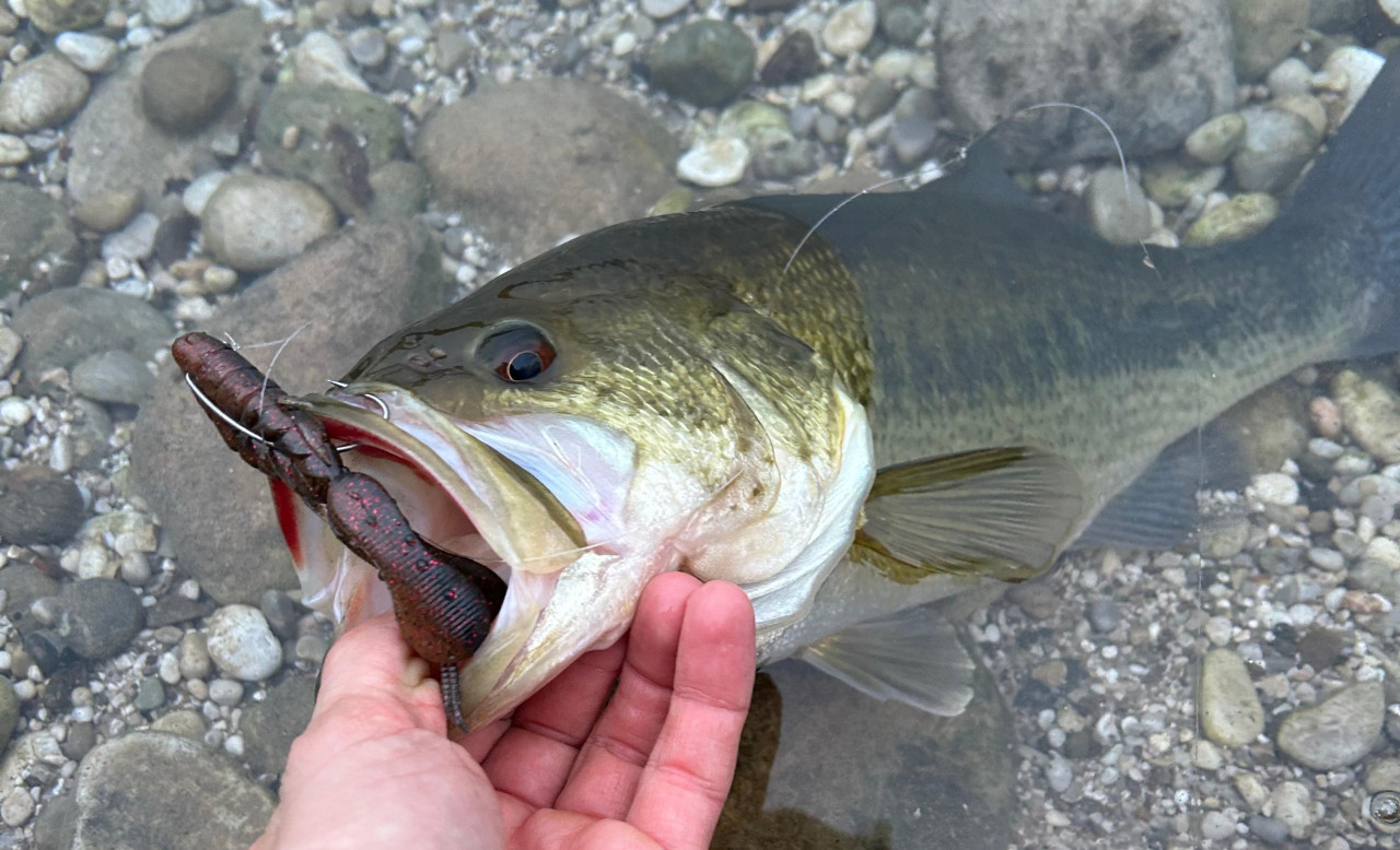 WhatsApp-Image-2026-02-14-at-17.20.2_20260225-170444_1