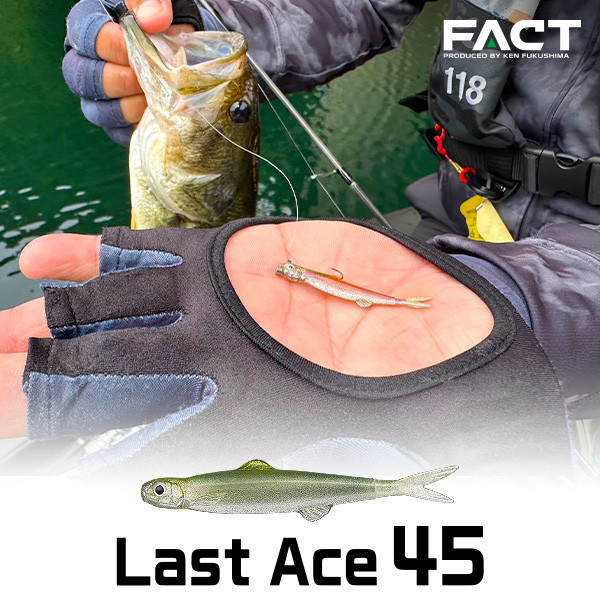 Evergreen Last Ace 45 non solo black bass