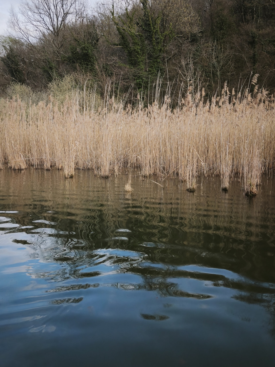 Bassfishing BassMegabassPersonal bestBigbassBigbassdreamsMegabassinc