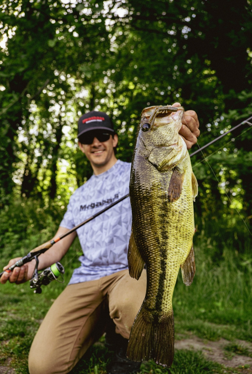 MegabassBottle Shrimp Itoengineering Plusfishing Megabass JapanMegabass lureJapan luresPlusfishing member