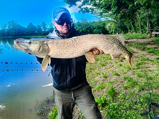 Jackall Dead Slowler 5.5
