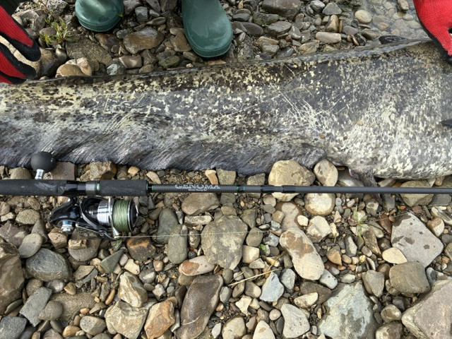 Deps huge custom genoma