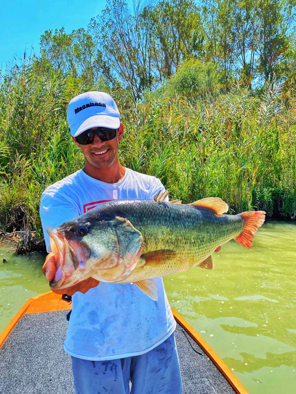 Summer Bassfishing