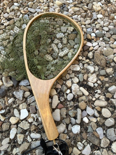 Golden Mean Symphonia Trout Net