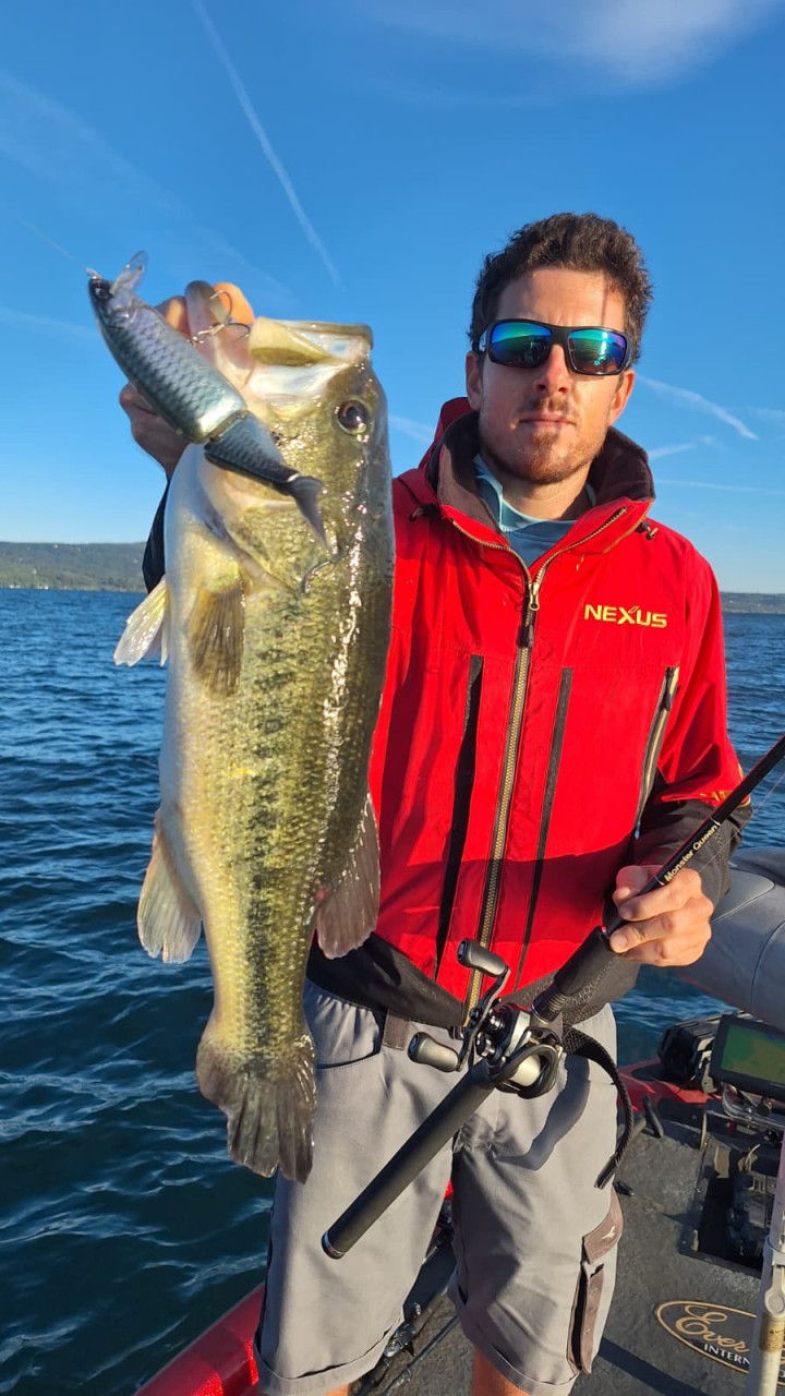 SwimBait