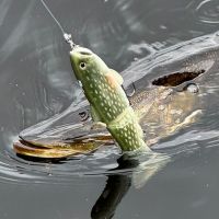 Fresh Water Experience