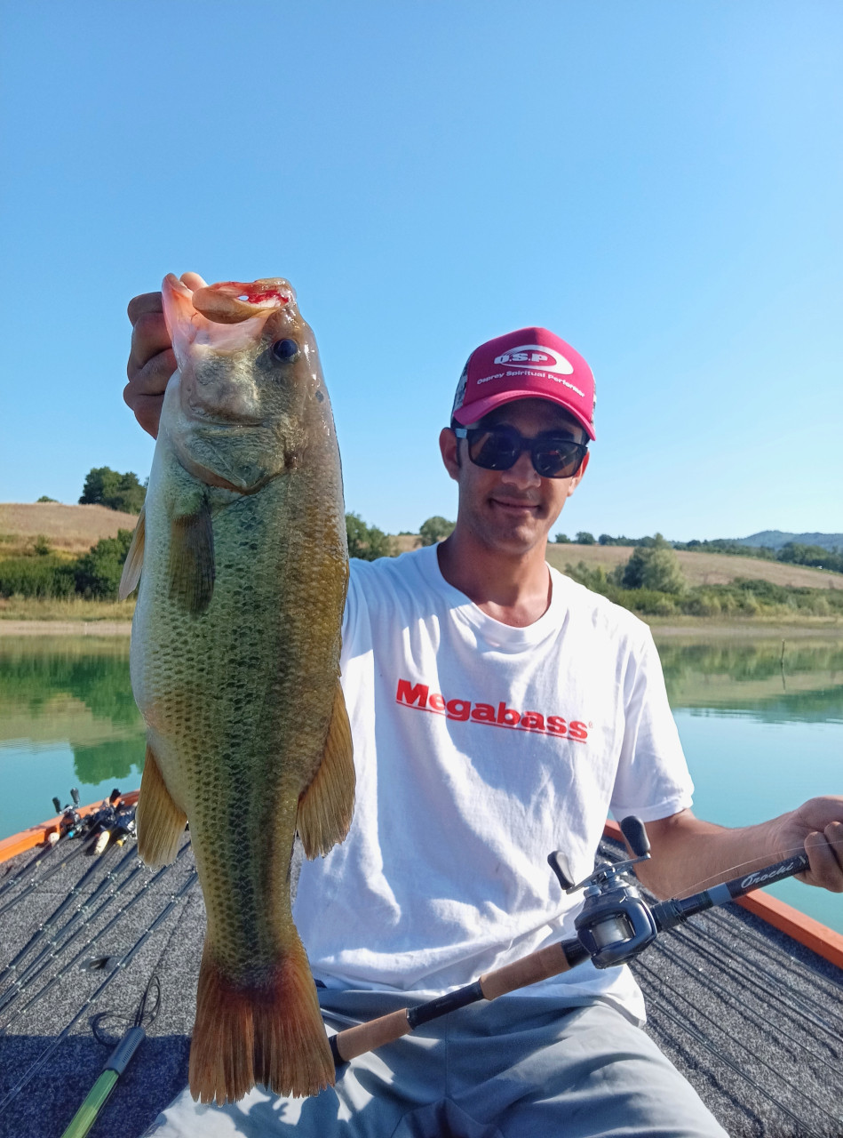 Megabass Orochi X10 OrochiIto Engineering Megabass destroyer Megabass Vision Oneten Plusfishing