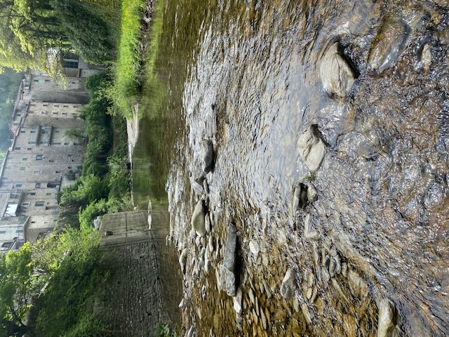 zrspc12
