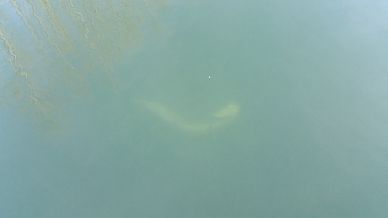 20160326 172327