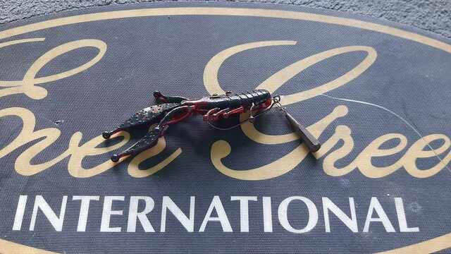 jiga rig